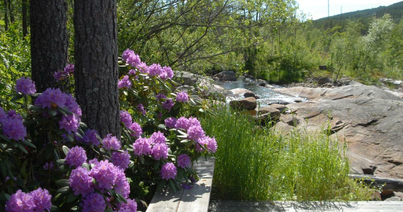 Fossumsanden Camping Og Hytter Fyresdal Exteriör bild